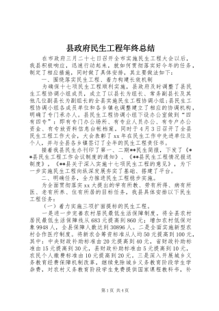 县政府民生工程年终总结