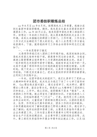 团市委挂职锻炼总结