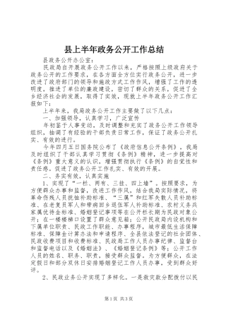 县上半年政务公开工作总结