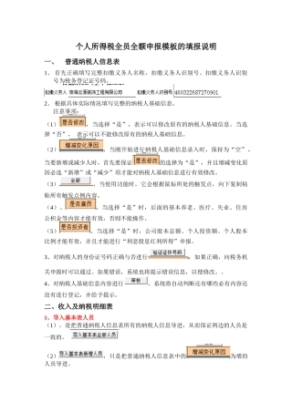 个人所得税全员全额申报模板的填报说明