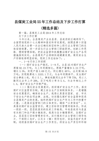 县煤炭工业局XX年工作总结及下步工作打算(精选多篇)