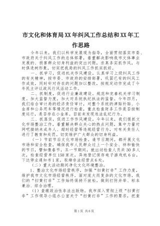 市文化和体育局XX年纠风工作总结和XX年工作思路