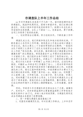市调查队上半年工作总结