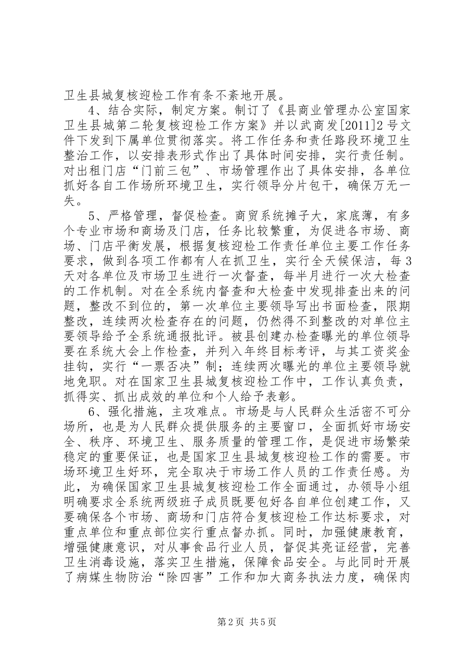 卫生县城复核迎检工作总结_第2页