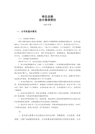 会计报表附注