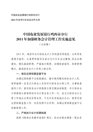 财务会计管理工作意见-新2