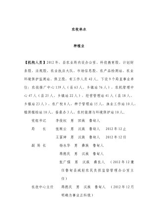 XXXX经济部类