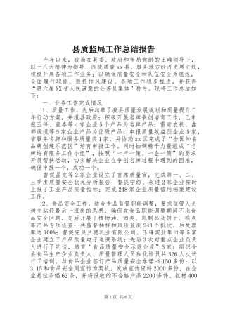 县质监局工作总结报告