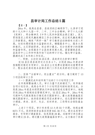 县审计局工作总结5篇