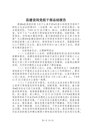 县建设局党组干部总结报告