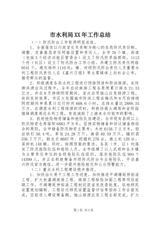 市水利局XX年工作总结