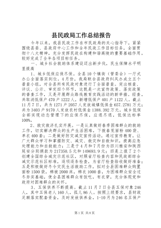 县民政局工作总结报告