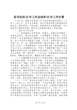 县司法局XX年工作总结和XX年工作打算