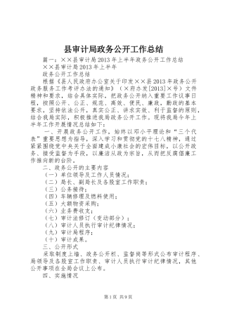 县审计局政务公开工作总结