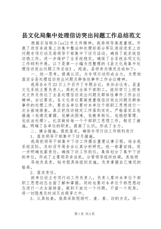 县文化局集中处理信访突出问题工作总结范文