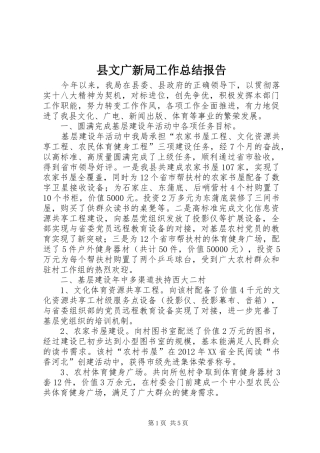 县文广新局工作总结报告