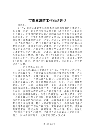 市森林消防工作总结讲话