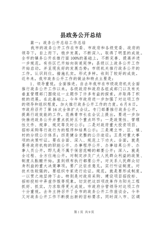 县政务公开总结