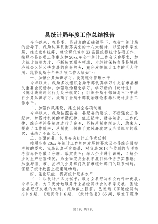 县统计局年度工作总结报告
