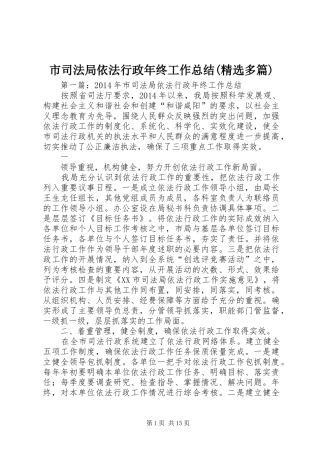 市司法局依法行政年终工作总结(精选多篇)
