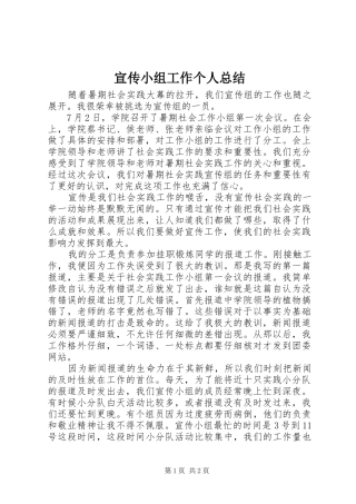 宣传小组工作个人总结