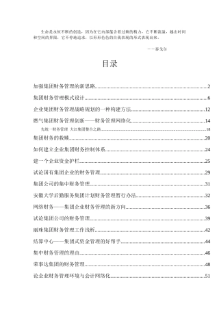 Nzgexx集团财务管理