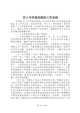 市上半年政法综治工作总结