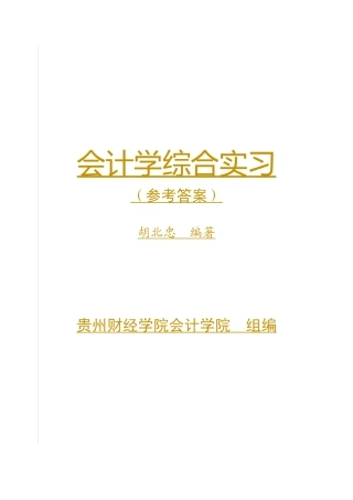 《会计学综合实习》