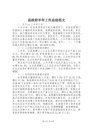 县政府半年工作总结范文