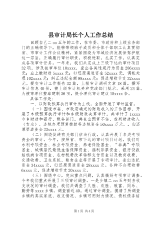 县审计局长个人工作总结
