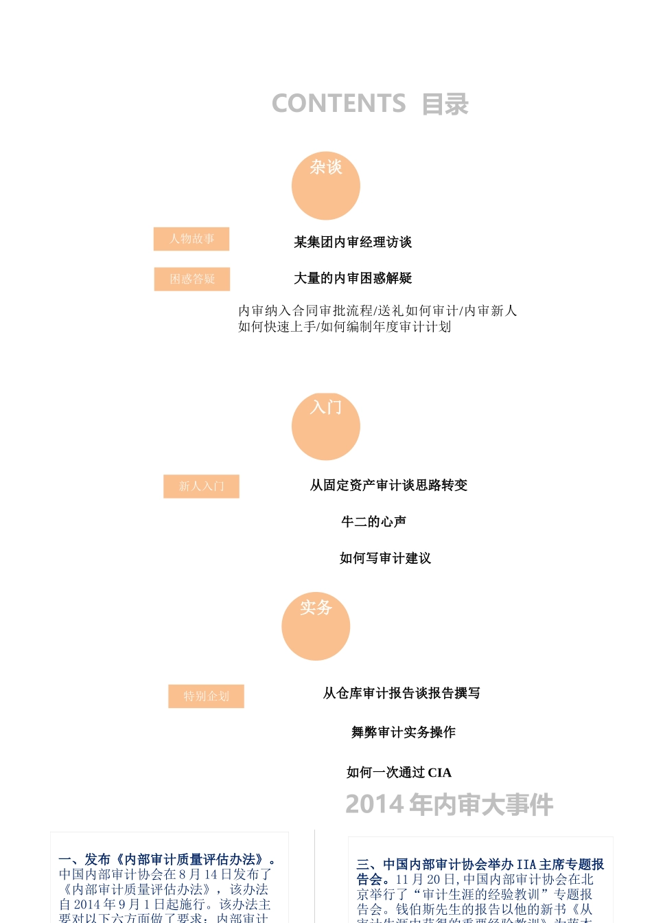 XXXX年内审实务年刊_第3页