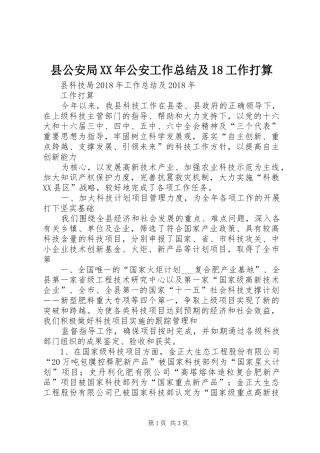 县公安局XX年公安工作总结及18工作打算