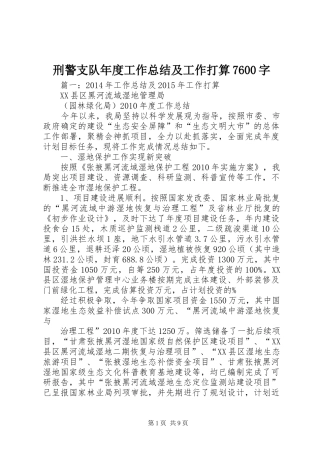 刑警支队年度工作总结及工作打算7600字