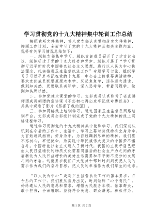 学习贯彻党的十九大精神集中轮训工作总结
