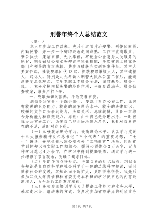 刑警年终个人总结范文