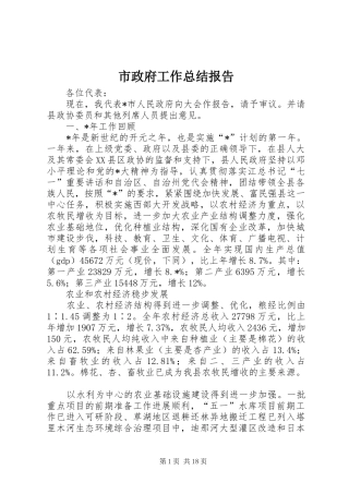 市政府工作总结报告