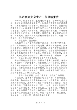 县水利局安全生产工作总结报告