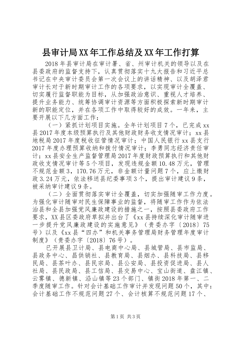 县审计局XX年工作总结及XX年工作打算_第1页