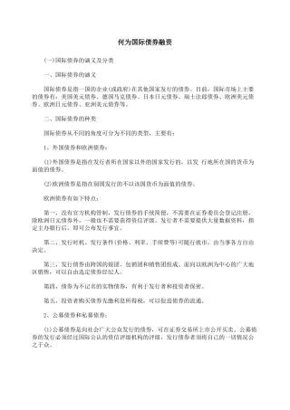 何为国际债券融资
