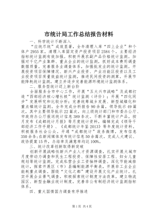 市统计局工作总结报告材料