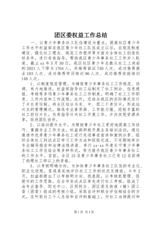 团区委权益工作总结