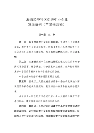 海南经济特区促进中小企业