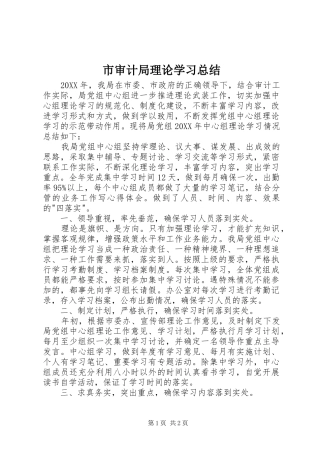 市审计局理论学习总结