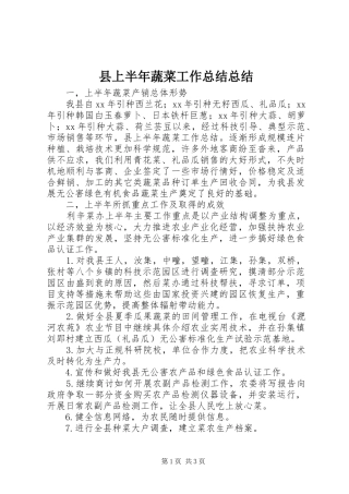 县上半年蔬菜工作总结总结