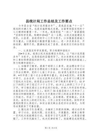 县统计局工作总结及工作要点