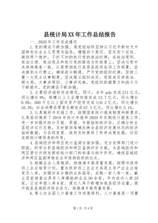 县统计局XX年工作总结报告