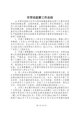 市劳动监察工作总结