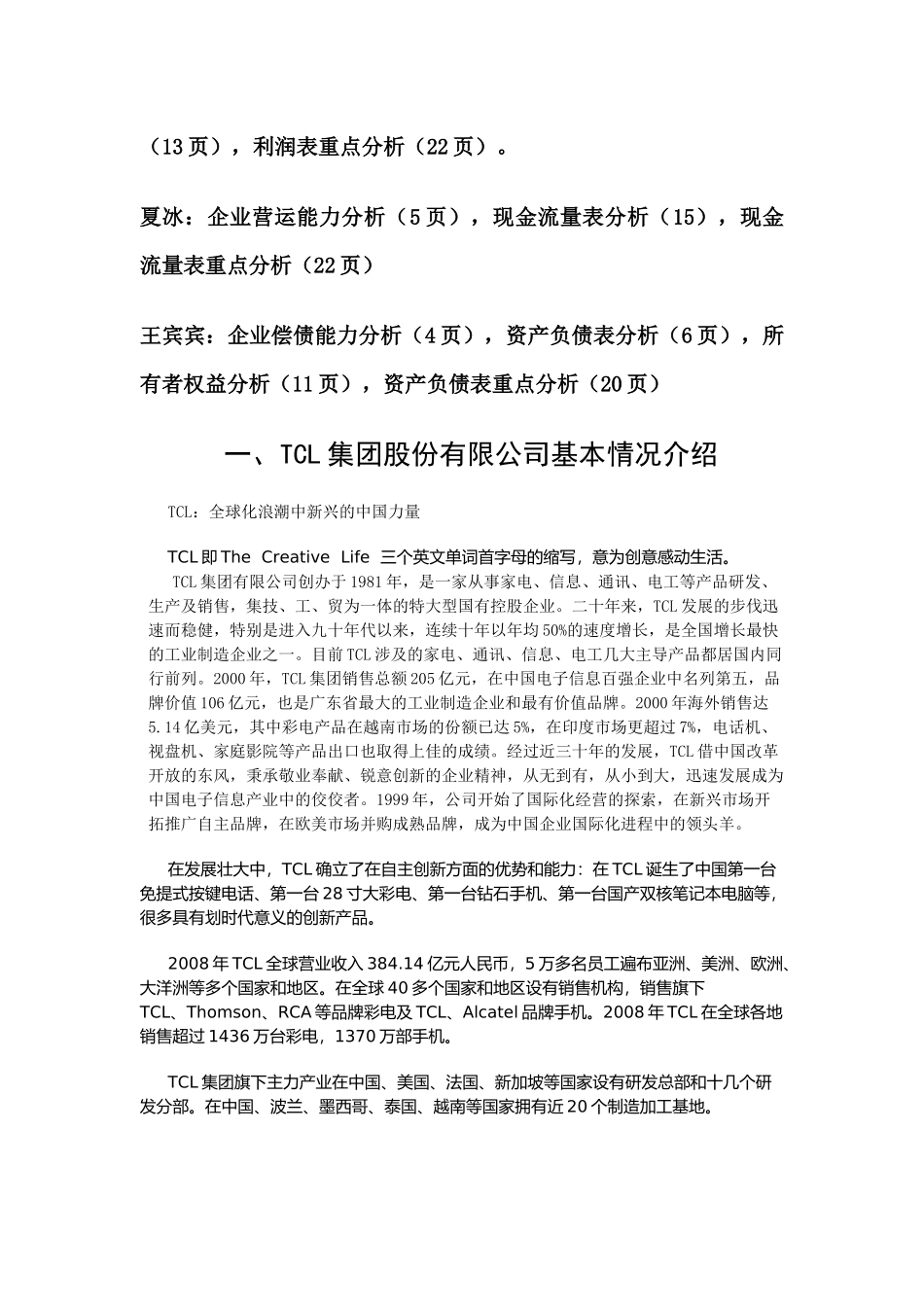 TCL公司财务分析报告_第2页