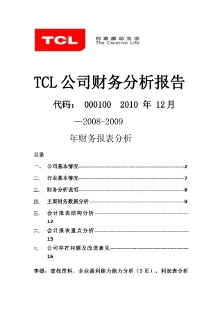 TCL公司财务分析报告