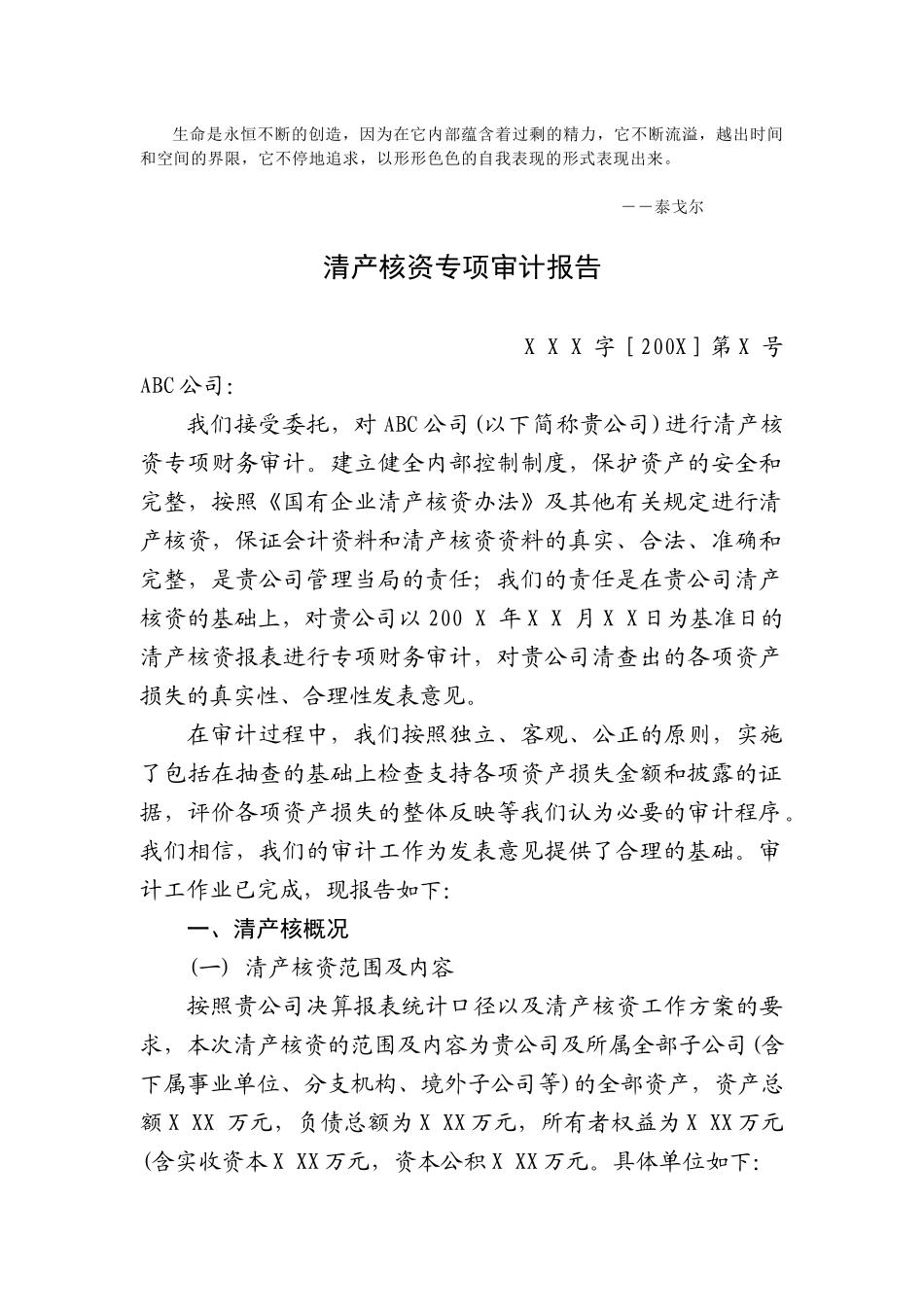 Sykxwq清产核资专项审计报告_第1页